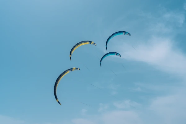 Outline & Canopy Curve (ARC)