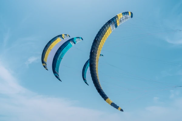 Refined Profile Sections