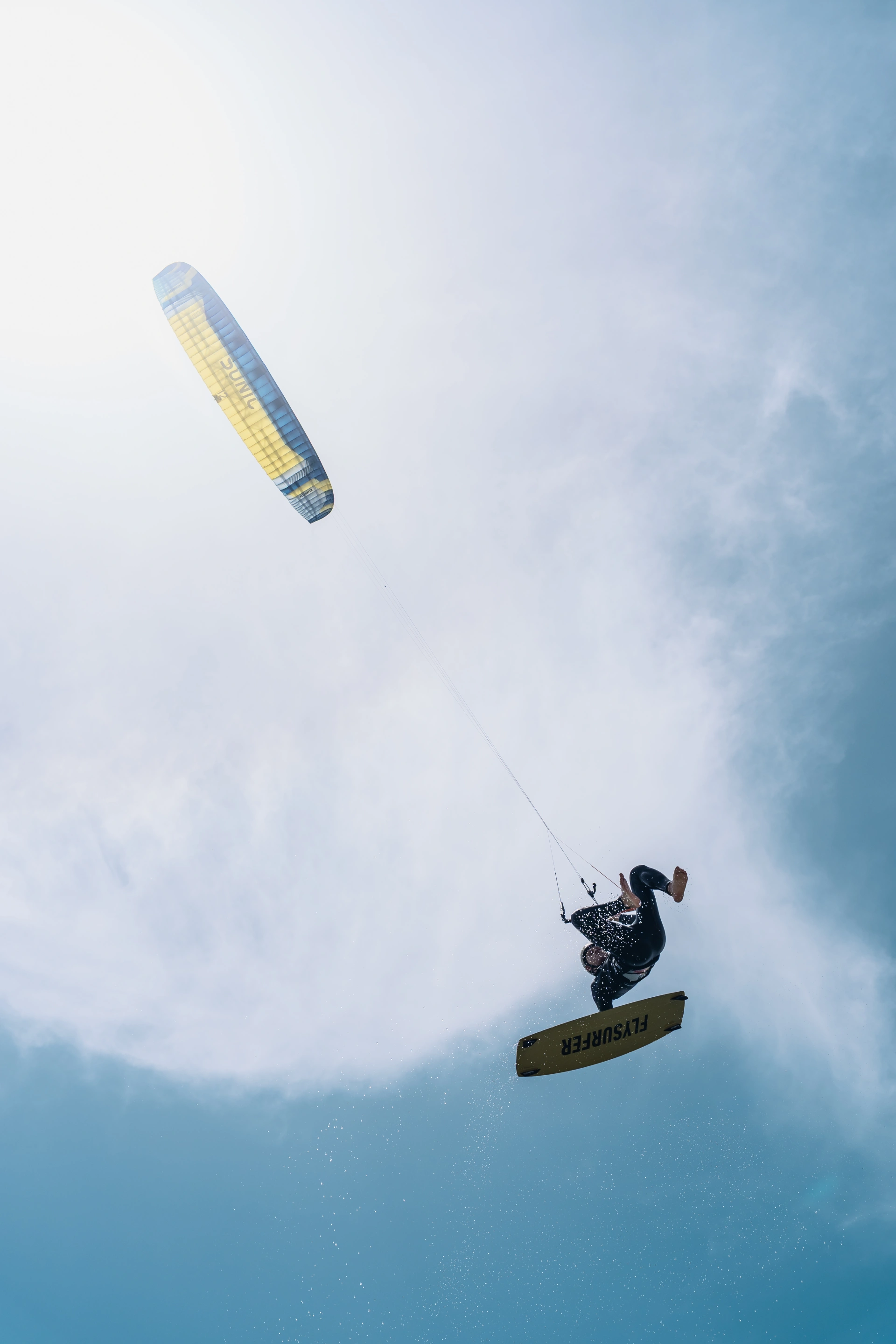 Terms and Conditions